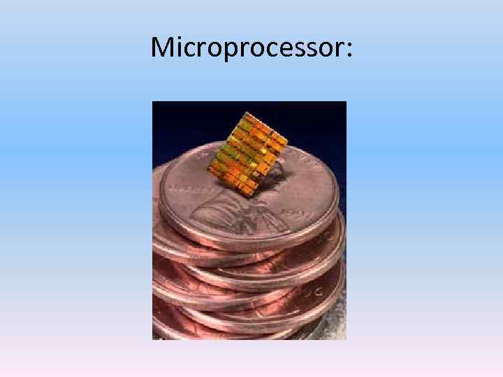 Microprocessor: 