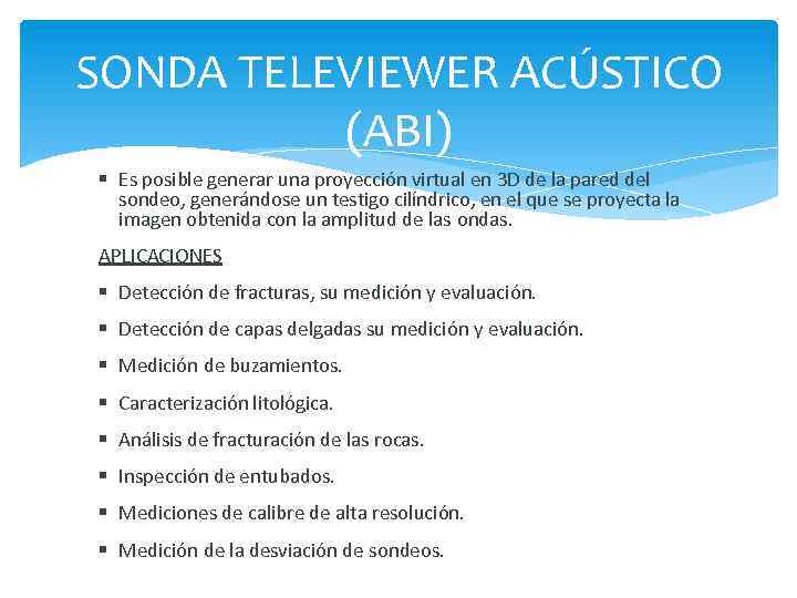 SONDA TELEVIEWER ACÚSTICO (ABI) Es posible generar una proyección virtual en 3 D de