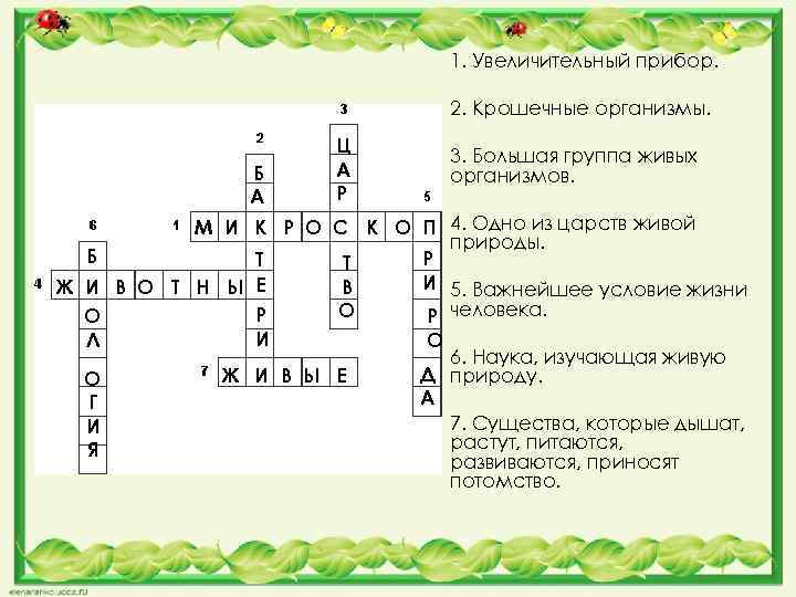 1. Увеличительный прибор. 2. Крошечные организмы. Б А Ц А Р 3. Большая группа