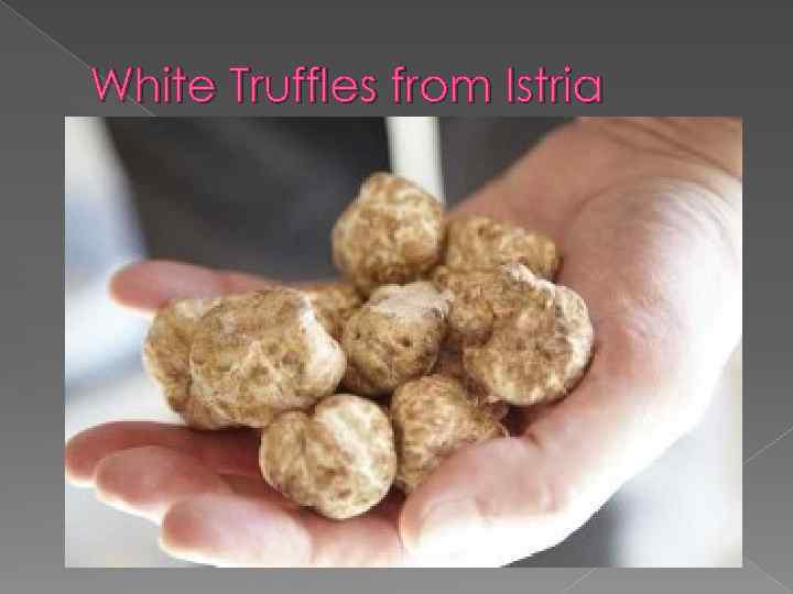 White Truffles from Istria 
