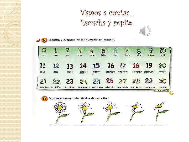 Vamos a contar… Escucha y repite. 
