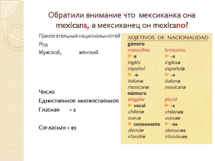 Обратили внимание что мексиканка она mexicana, а мексиканец он mexicano? Прилагательные национальностей Род Мужской,