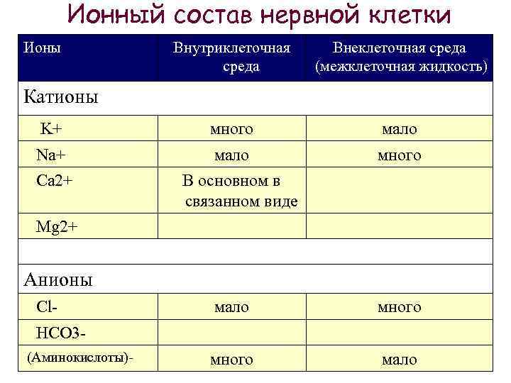 Ионный состав нервной клетки Ионы Внутриклеточная среда Внеклеточная среда (межклеточная жидкость) K+ много мало