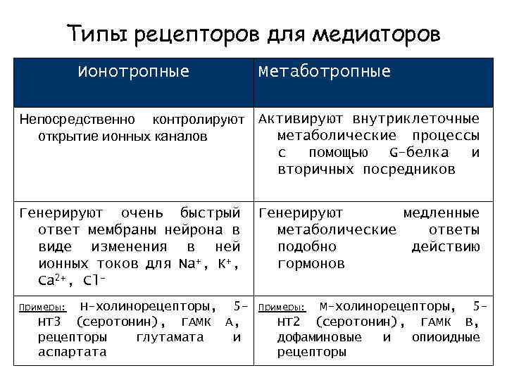 Типы рецепторов для медиаторов Ионотропные Метаботропные Непосредственно контролируют Активируют внутриклеточные метаболические процессы открытие ионных