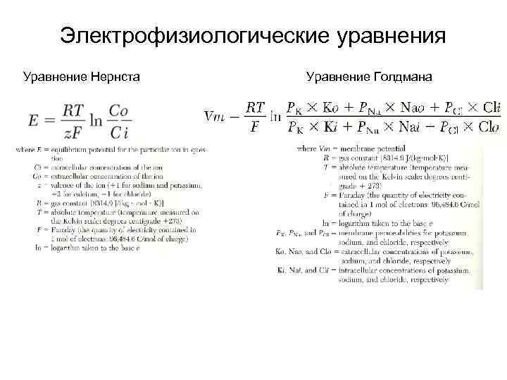 Электрофизиологические уравнения Уравнение Нернста Уравнение Голдмана 