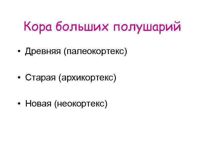 Кора больших полушарий • Древняя (палеокортекс) • Старая (архикортекс) • Новая (неокортекс) 