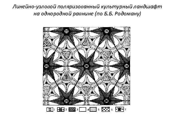 Линейно-узловой поляризованный культурный ландшафт на однородной равнине (по Б. Б. Родоману) 