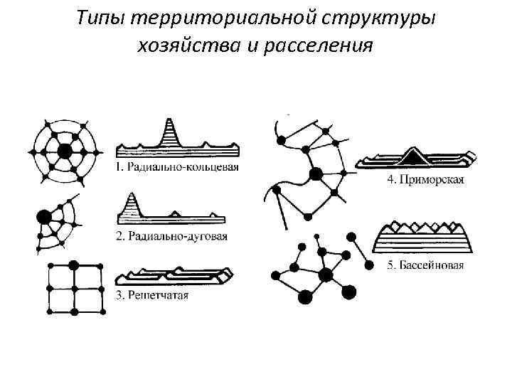 Типы территориальной структуры хозяйства и расселения 