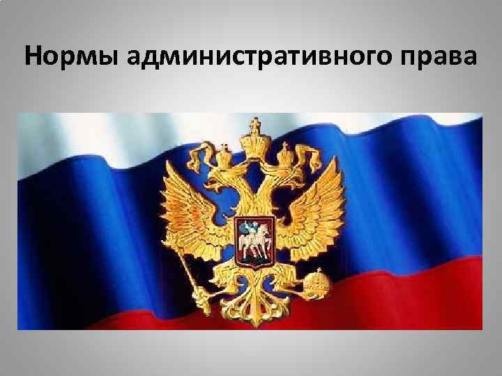 Нормы административного права 