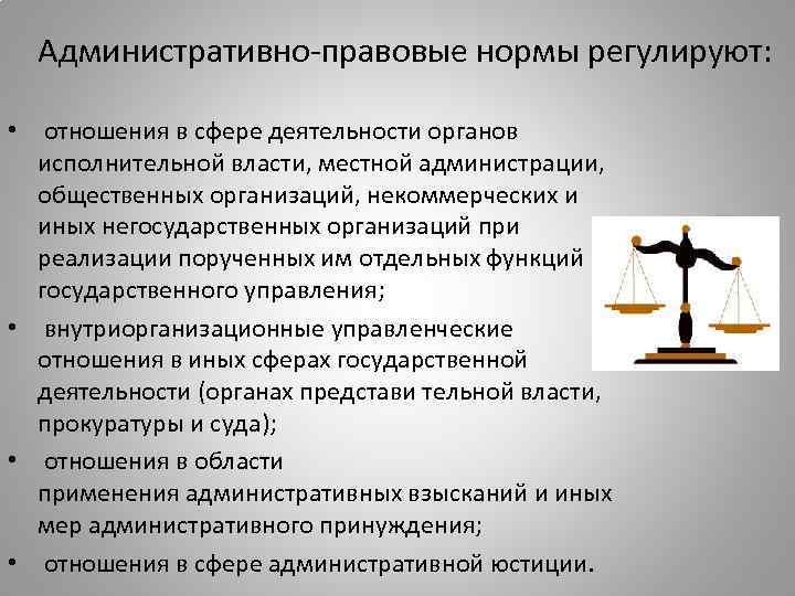 Административно-правовые нормы регулируют: • отношения в сфере деятельности органов исполнительной власти, местной администрации, общественных