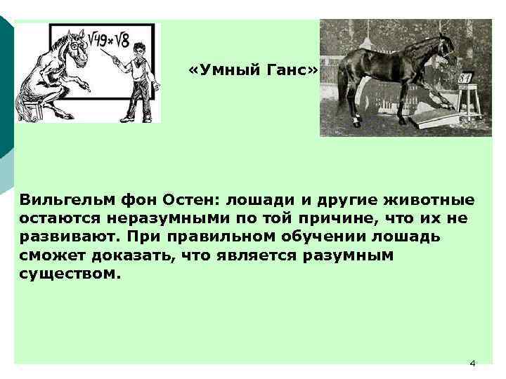  «Умный Ганс» Вильгельм фон Остен: лошади и другие животные остаются неразумными по той