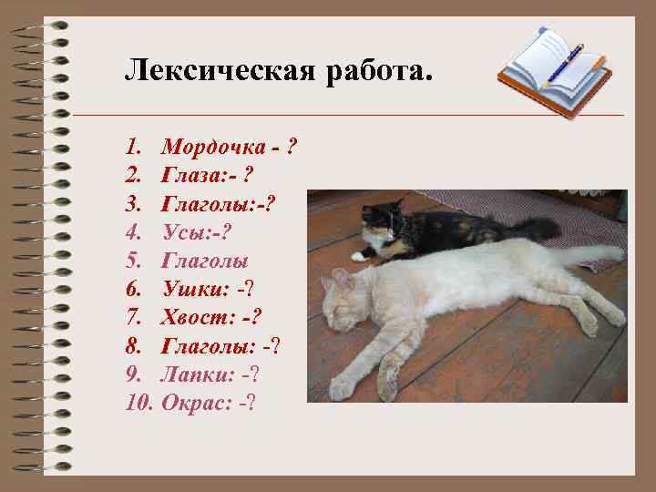 Лексическая работа. 1. Мордочка - ? 2. Глаза: - ? 3. Глаголы: -? 4.