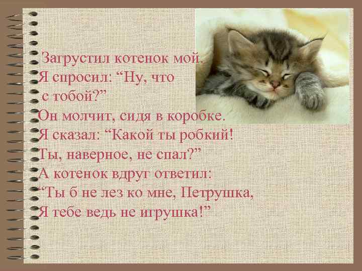  Загрустил котенок мой. Я спросил: “Ну, что с тобой? ” Он молчит, сидя