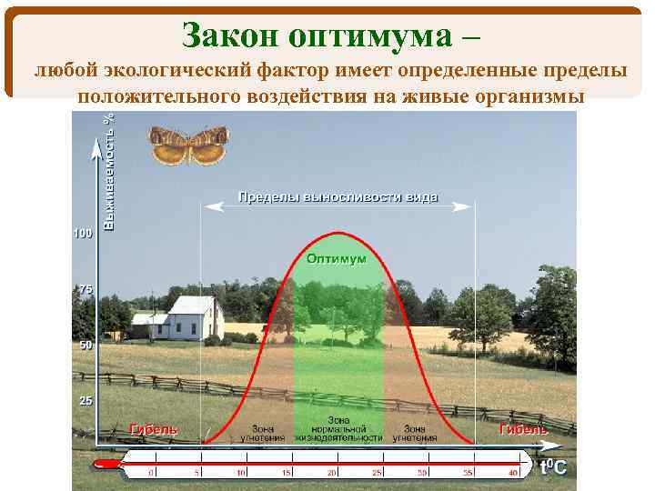 Закон оптимума – любой экологический фактор имеет определенные пределы положительного воздействия на живые организмы