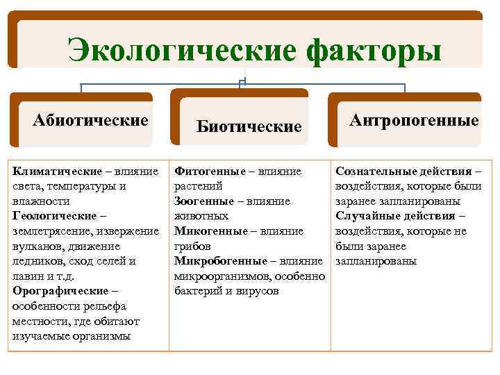 Экологические факторы Абиотические Биотические Климатические – влияние света, температуры и влажности Геологические – землетрясение,