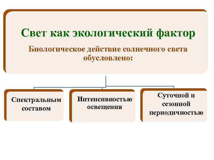 Свет как экологический фактор Биологическое действие солнечного света обусловлено: Спектральным составом Интенсивностью освещения Суточной