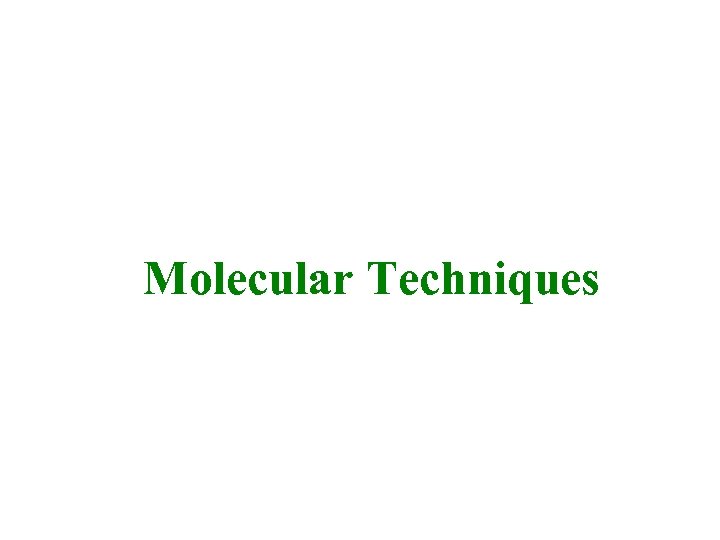  Molecular Techniques 