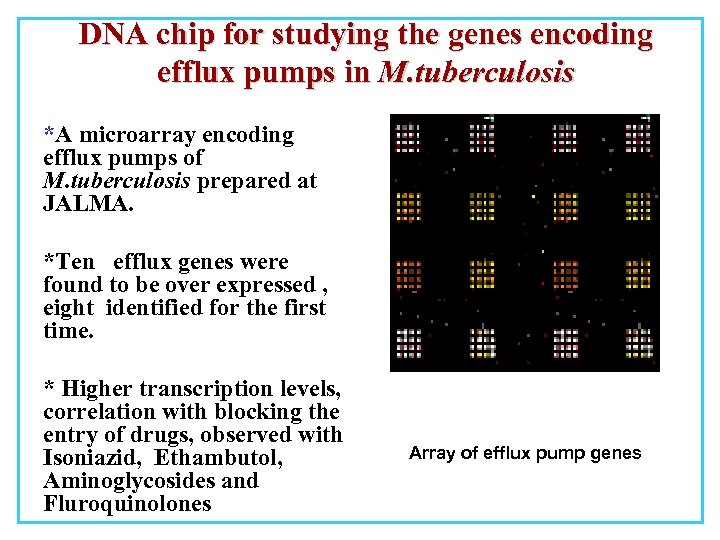 DNA chip for studying the genes encoding efflux pumps in M. tuberculosis *A microarray