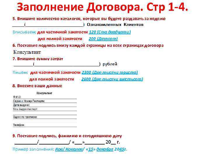 Заполнение Договора. Стр 1 -4. 5. Впишите количество каталогов, которые вы будете раздавать за