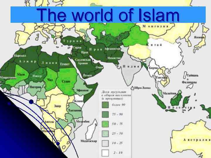 The world of Islam 