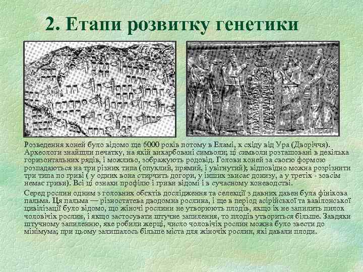 2. Етапи розвитку генетики Розведення коней було відомо ще 6000 років потому в Еламі,