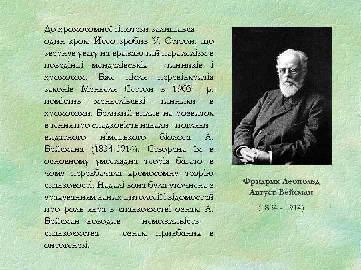 До хромосомної гіпотези залишався один крок. Його зробив У. Сеттон, що звернув увагу на