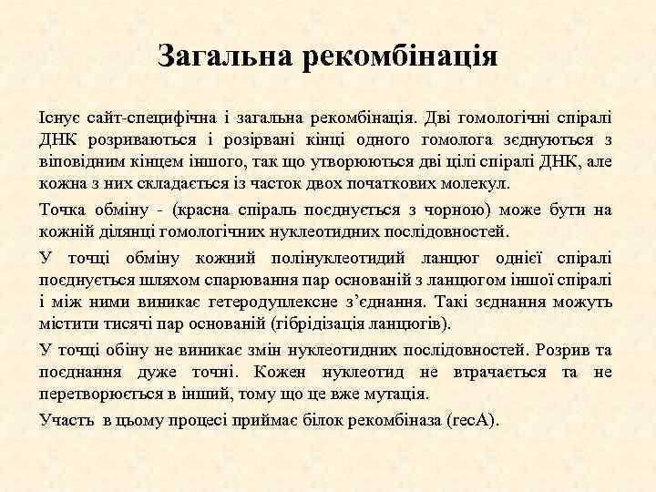 Загальна рекомбінація Існує сайт специфічна і загальна рекомбінація. Дві гомологічні спіралі ДНК розриваються і