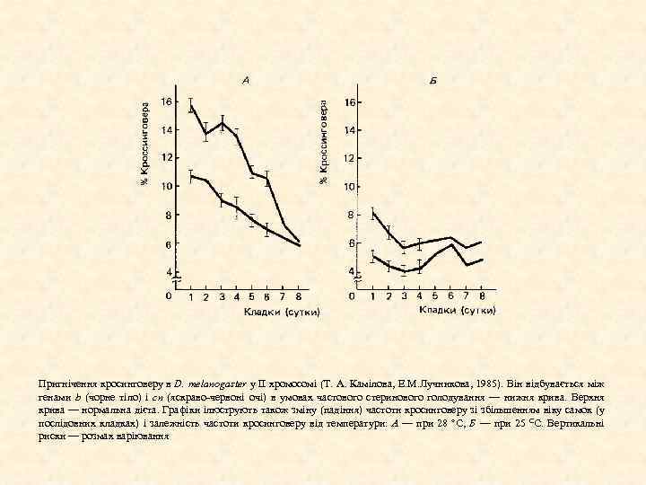 Пригнічення кросинговеру в D. melanogaster у ІІ хромосомі (Т. А. Камілова, Е. М. Лучникова,