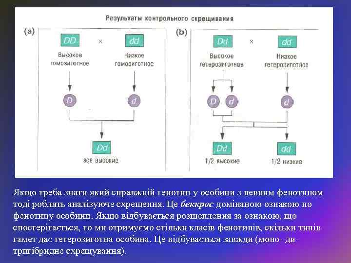 Якщо треба знати який справжній генотип у особини з певним фенотипом тоді роблять аналізуюче