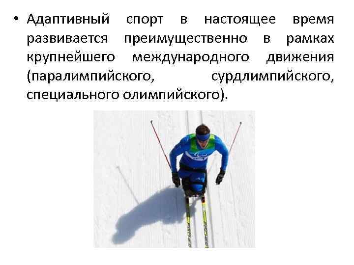  • Адаптивный спорт в настоящее время развивается преимущественно в рамках крупнейшего международного движения