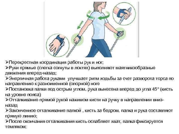 ØПерекрестная координация работы рук и ног; ØРуки прямые (слегка согнуты в локтях) выполняют маятникообразные