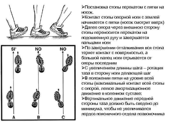 Перекаты с пятки на носок картинка