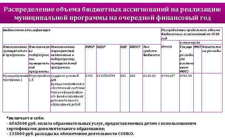 Распределение объема бюджетных ассигнований на реализацию муниципальной программы на очередной финансовый год Бюджетная классификация