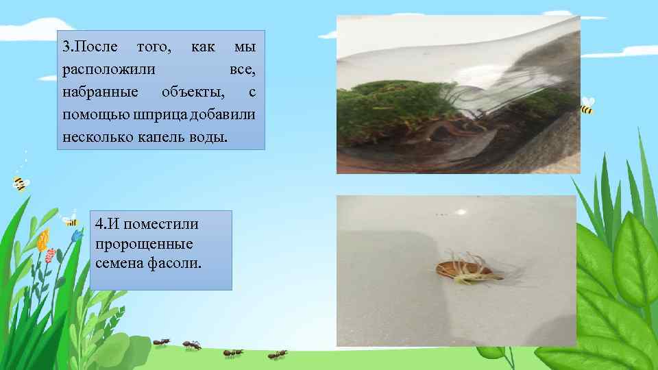 3. После того, как мы расположили все, набранные объекты, с помощью шприца добавили несколько