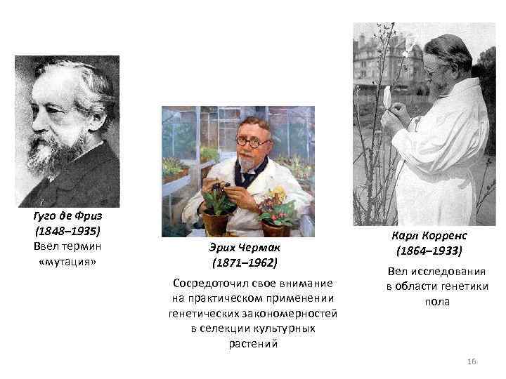 Переоткрыли законы Г. Менделя в 1900 г. Гуго де Фриз (1848– 1935) Ввел термин