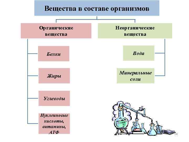 Заполни схему неорганические вещества клетки используя предложенные термины