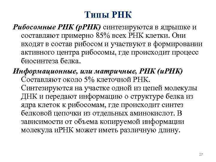Типы РНК Рибосомные РНК (р. РНК) синтезируются в ядрышке и составляют примерно 85% всех