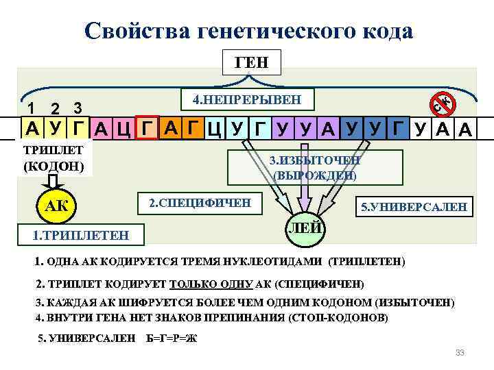 Свойства генетического кода ГЕН 1 2 3 4. НЕПРЕРЫВЕН c к А У Г