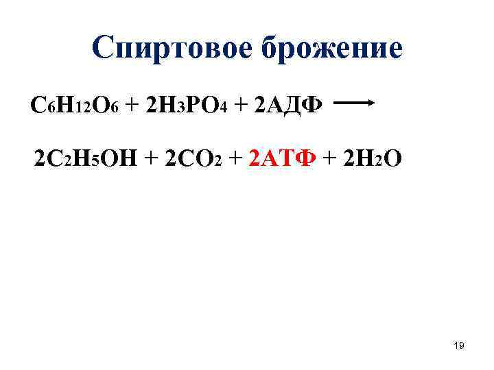 Спиртовое брожение С 6 Н 12 О 6 + 2 Н 3 РО 4