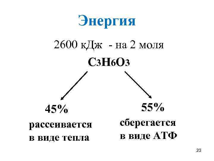 Энергия 2600 к. Дж - на 2 моля С 3 Н 6 О 3