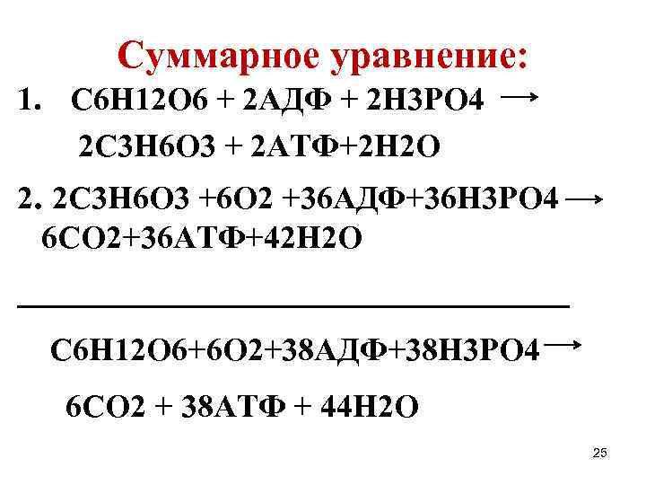 Суммарное уравнение: 1. С 6 Н 12 О 6 + 2 АДФ + 2