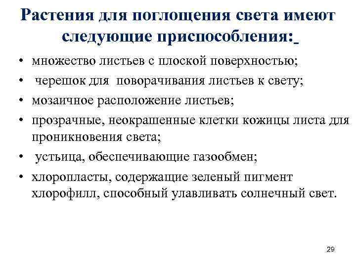 Растения для поглощения света имеют следующие приспособления: • • множество листьев с плоской поверхностью;