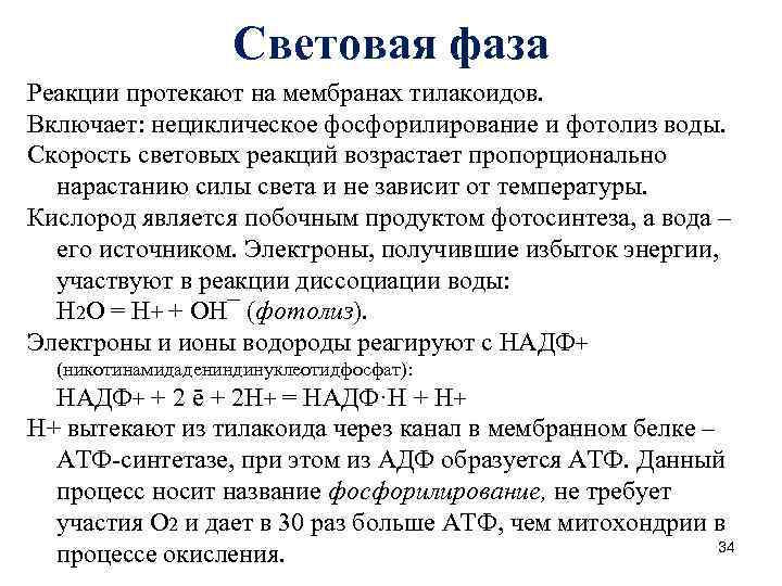 Световая фаза Реакции протекают на мембранах тилакоидов. Включает: нециклическое фосфорилирование и фотолиз воды. Скорость