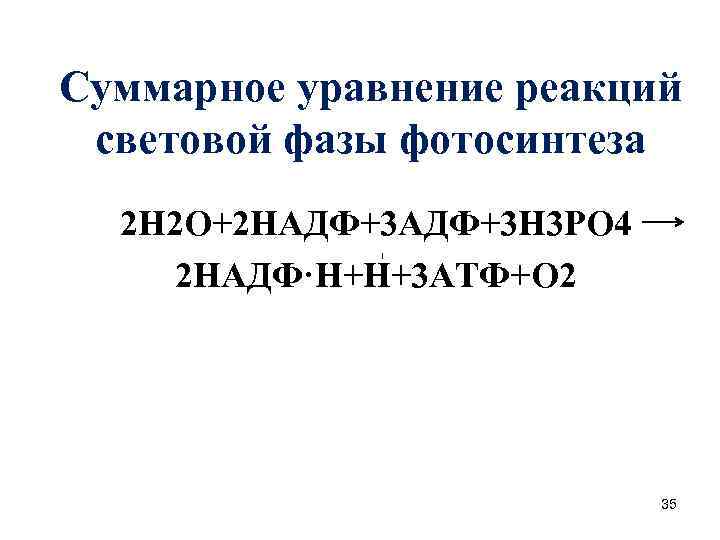 Суммарное уравнение реакций световой фазы фотосинтеза 2 Н 2 О+2 НАДФ+3 Н 3 РО