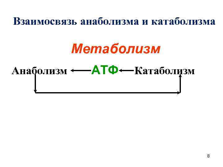 Взаимосвязь анаболизма и катаболизма Метаболизм Анаболизм Катаболизм АТФ 8 