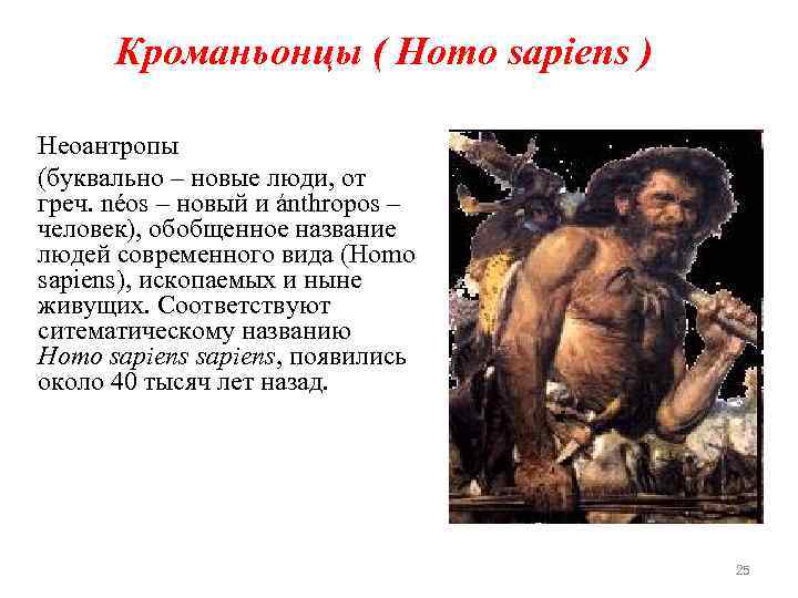 Кроманьонцы ( Нomo sapiens ) Неоантропы (буквально – новые люди, от греч. néos –