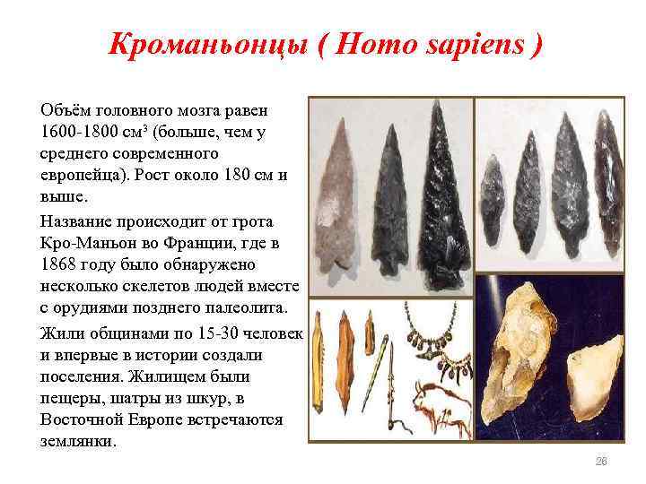 Кроманьонцы ( Нomo sapiens ) Объём головного мозга равен 1600 -1800 см³ (больше, чем