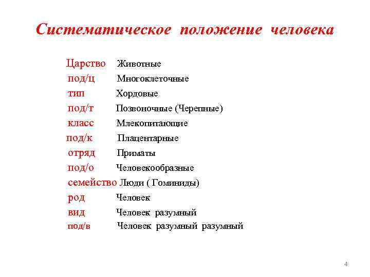 Систематическое положение человека Царство Животные под/ц Многоклеточные тип Хордовые под/т Позвоночные (Черепные) класс Млекопитающие