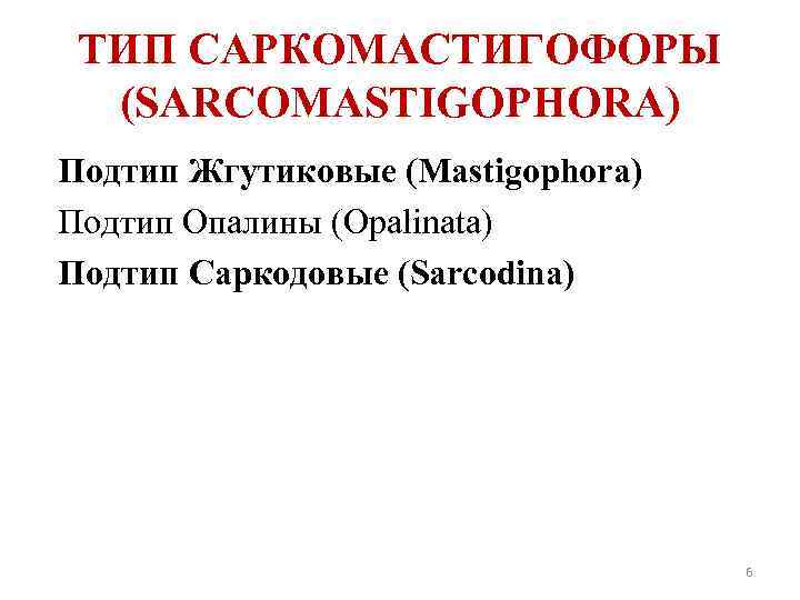 ТИП САРКОМАСТИГОФОРЫ (SARCOMASTIGOPHORA) Подтип Жгутиковые (Mastigophora) Подтип Опалины (Opalinata) Подтип Саркодовые (Sarcodina) 6 