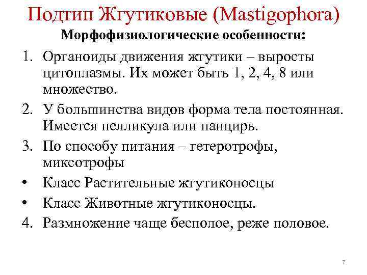Подтип Жгутиковые (Mastigophora) Морфофизиологические особенности: 1. Органоиды движения жгутики – выросты цитоплазмы. Их может